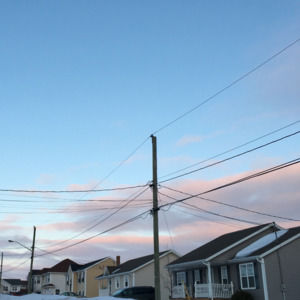 Meet your Posher, Maddy